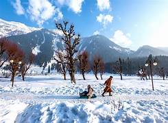 Pahalgam Honeymoon Tour